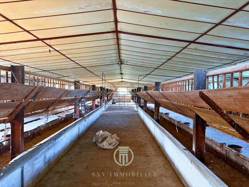 Maison - 102 m² - 5 pièces