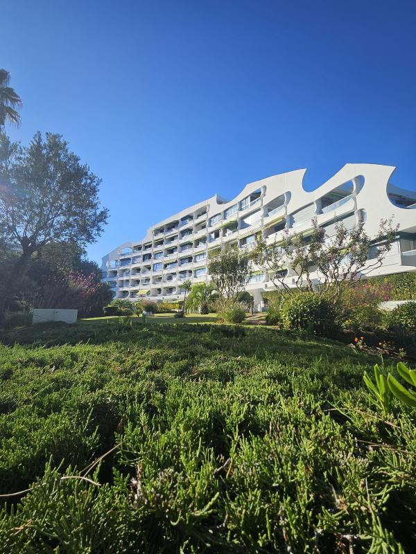 Studio - 24 m² - 1 pièce