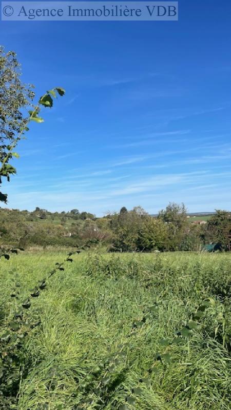 Terrain constructible - 446 m²