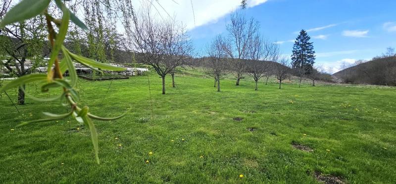 Maison - 240 m² - 6 pièces