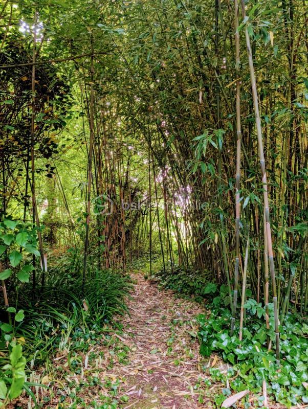 Demeure - 36 m² - 2 pièces