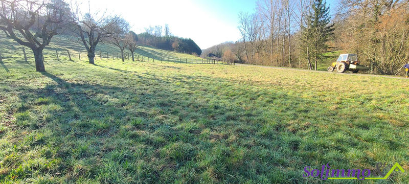 Terrain - 1 000 m²
