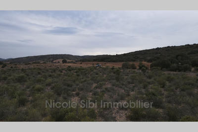 Terrain agricole - 16 505 m²