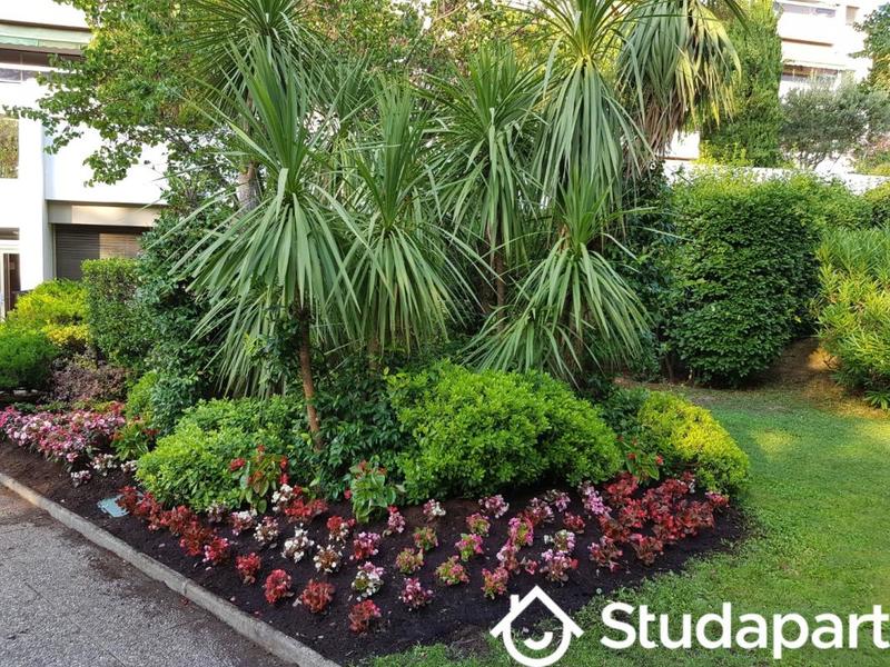 Appartement - 25 m² - 1 pièce