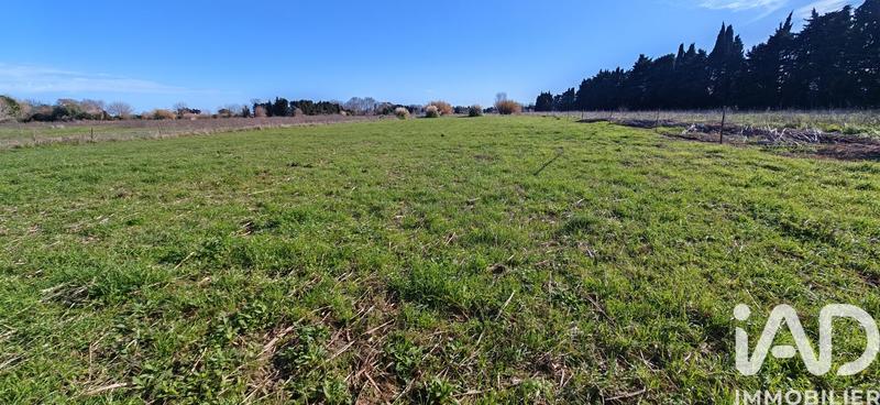 Terrain agricole - 3 007 m²