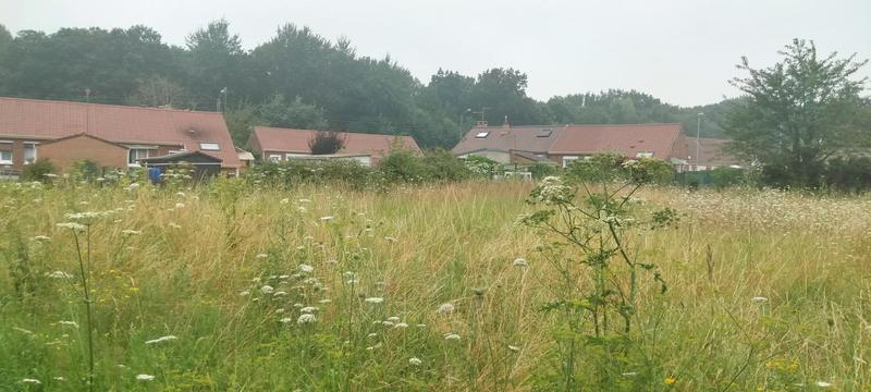 Terrain constructible