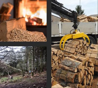 Bois de Chauffage 49 - Sarl au vin de France