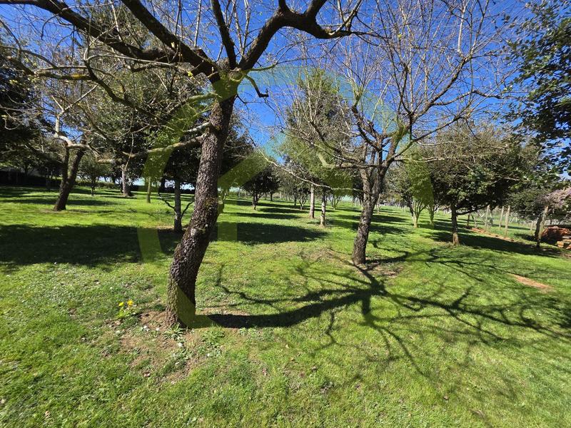 Maison - 158 m² - 4 pièces