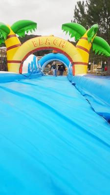 chez mickey le palaccio