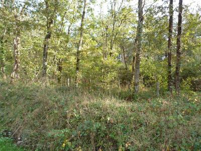 Terrain - 23 320 m²