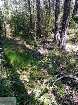 Terrain - 11 570 m²