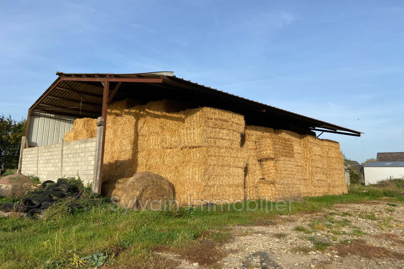 Maison - 65 m² - 3 pièces