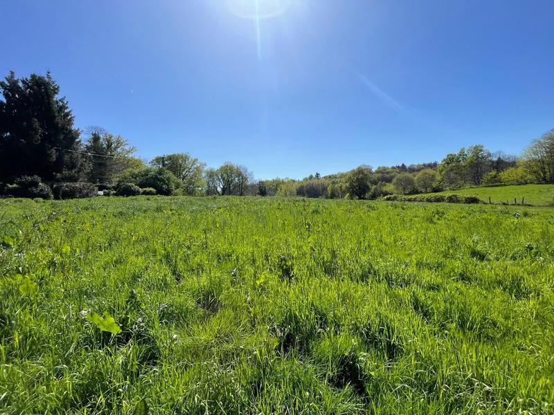 Terrain constructible - 8 903 m²