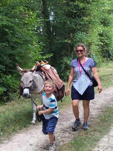 Les Ânes de la Rêverie