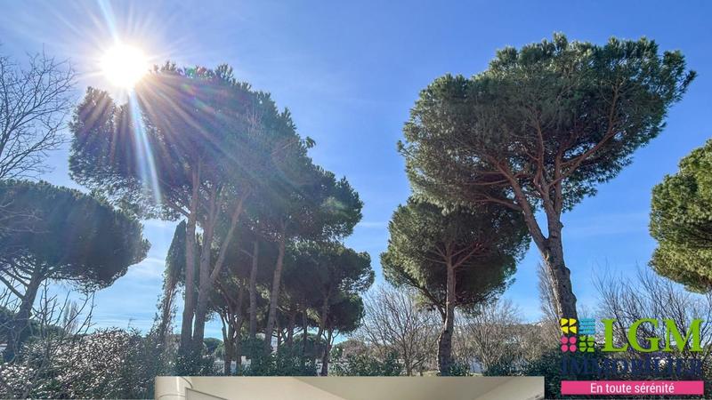 Studio - 25 m² - 1 pièce