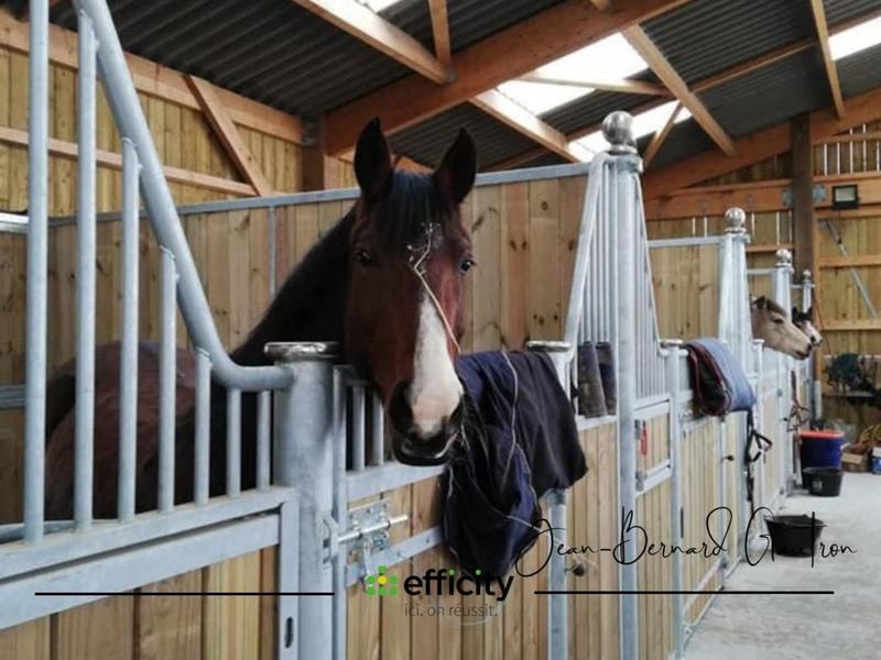 Haras - 134 m² - 5 pièces