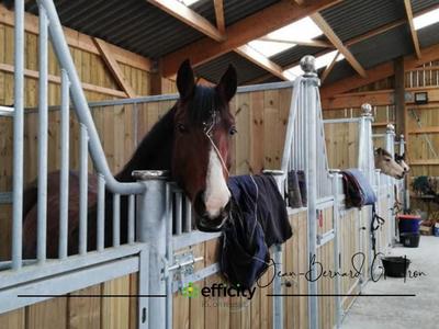 Haras - 134 m² - 5 pièces