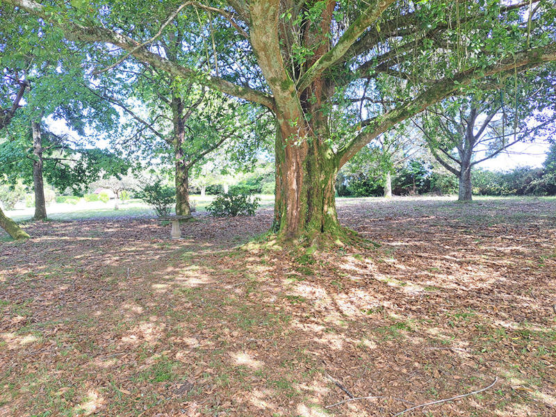 Maison - 460 m² - 15 pièces