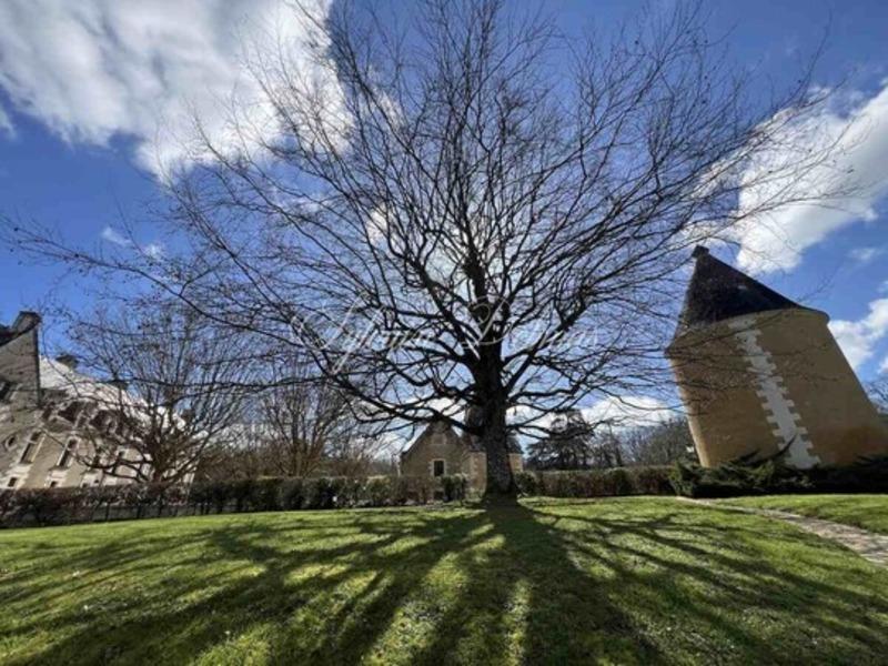 Château - 2 000 m² - 50 pièces