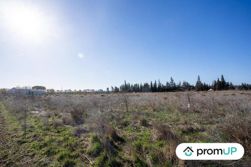 Terrain agricole - 3 200 m²