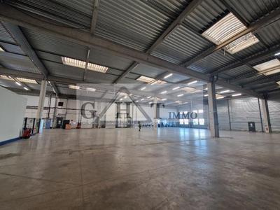 Entrepôt - 4 202 m²
