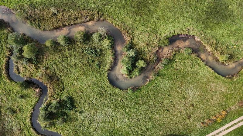 Sortie nature sur le site Espace Naturel Sensible de Davrey