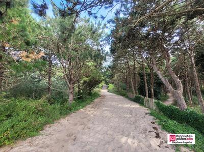 Appartement - 115 m² - 4 pièces