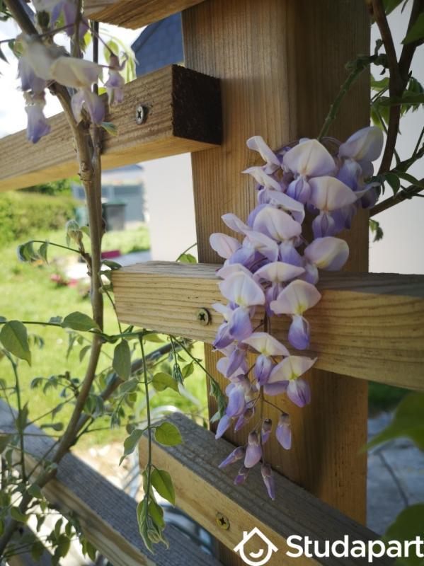 Chambre - 12 m² - 1 pièce