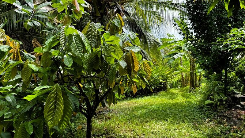 Maison - 106 m² - 4 pièces