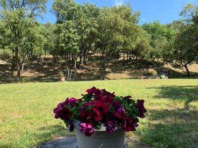 Maison - 155 m² - 6 pièces