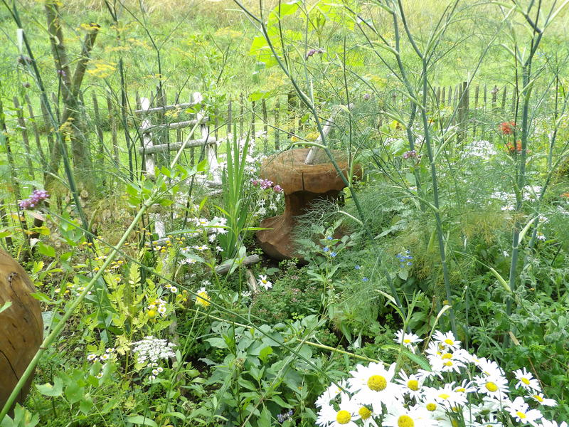 Atelier Recreatif Pour Adulte