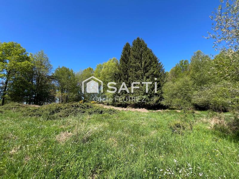 Terrain - 5 500 m²