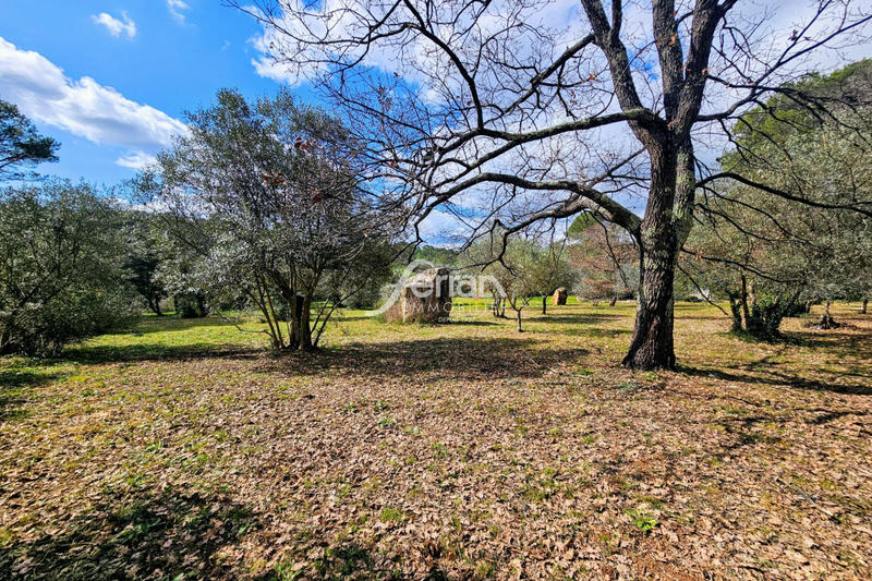 Bastide - 216 m² - 9 pièces