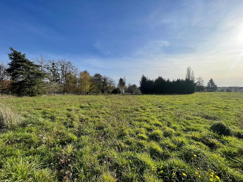 Terrain constructible - 2 126 m²