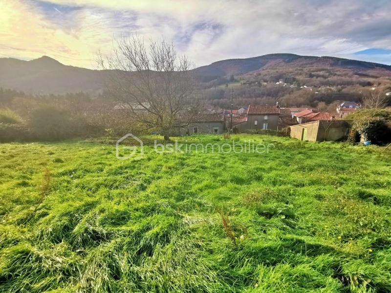 Terrain - 1 233 m²