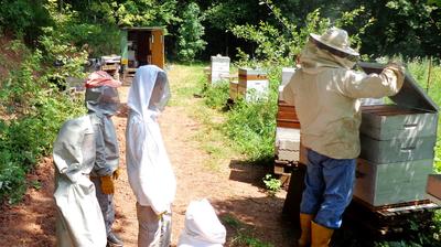 Visite du Rucher du Rollenberg