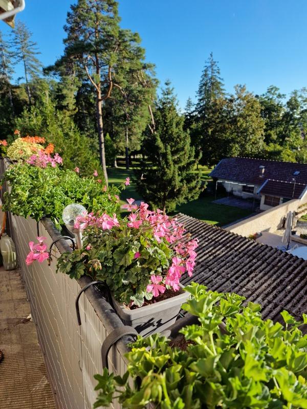 Immeuble - 240 m² - 10 pièces