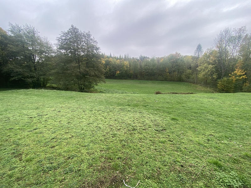 Maison - 800 m² - 1 pièce