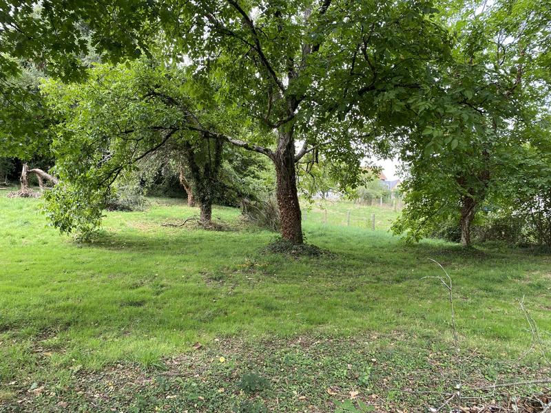 Maison - 131 m² - 7 pièces