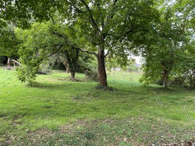 Maison - 131 m² - 7 pièces