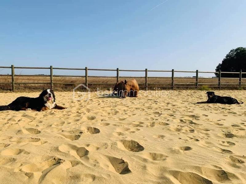 Demeure - 94 m² - 5 pièces