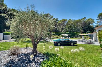 Propriété - 310 m² - 5 pièces