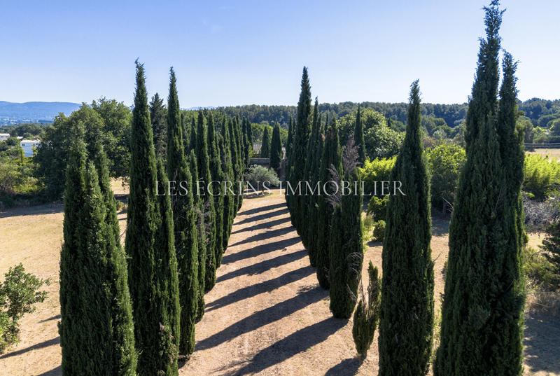 Maison - 600 m² - 8 pièces