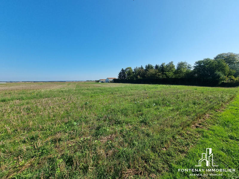 Terrain - 19 100 m²