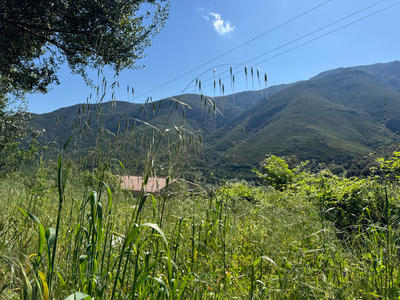 Terrain constructible - 623 m²