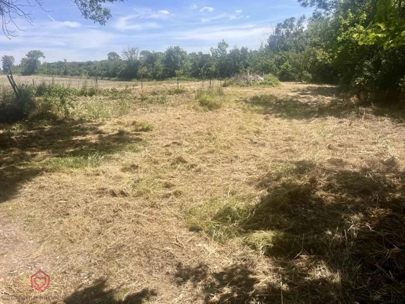 Ferme - 392 m² - 12 pièces