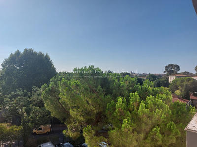 Appartement - 55 m² - 2 pièces