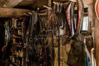 Propriété - 5 400 m² - 3 pièces