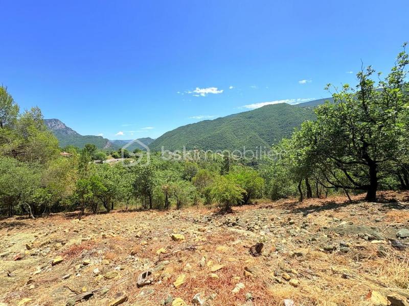 Terrain - 1 605 m²