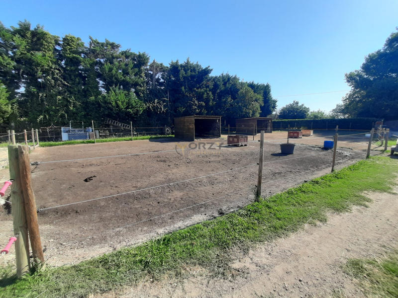 Mas - 300 m² - 10 pièces